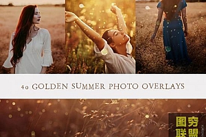 40张高清金色夏日照片写真叠加素材包Golden Summer Photo Overlays