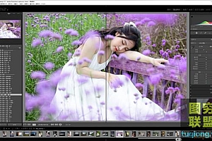 专业级AI人像智能Lightroom xmp 预设集 汉化版+英文版