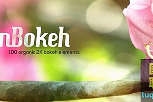 100组2K光斑炫光素材mBokeh-100 Organic 2K Bokeh(MotionVFX)(54GB)