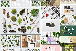 植物 树叶/花朵/多肉/树枝摆拍 PSD分层透明图层 模板素材