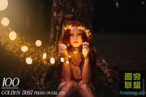 100张高清金色粉尘照片叠加素材Golden Dust Photo Overlays