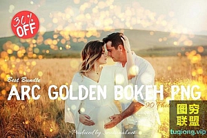 90张金色散景PNG透明图片照片叠加素材