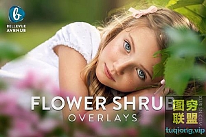 高清真实花朵灌木叠加素材Flower Shrub Overlays (Real)