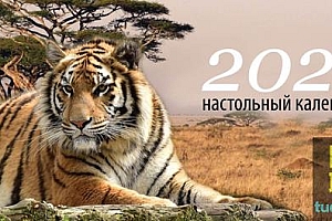 2022相册日历一套(PSD分层)