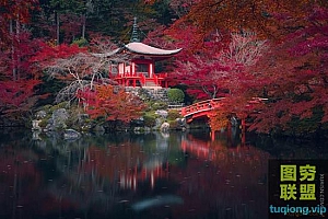 风景照拍出冲击力预设19组