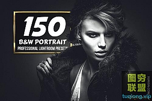 黑白人像-150个Lightroom预设B&W Portrait - 150 Lightroom Presets