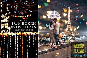 85张高清圆形心形星形蝴蝶等散景照片叠加素材Bokeh Overlays