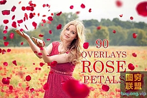 90+红白粉色浪漫玫瑰花瓣叠加素材Pink White Red Rose Petals Overlay