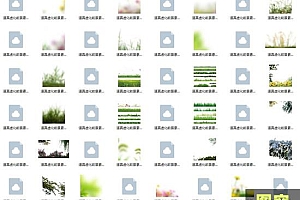 31个逼真虚化前景PSD素材