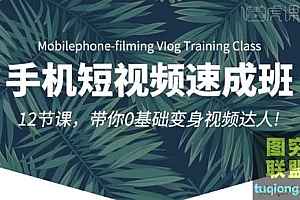虎课网 手机短视频速成班 12节课带你0零基础变身视频达人