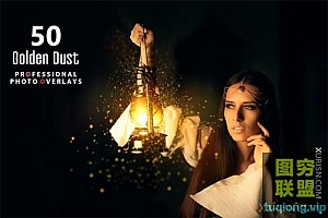 50张高清金色粉尘灰尘照片叠加素材Golden Dust Photo Overlays