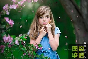 16款摄影前景植物花卉和叶子叠加PSD透明层素材