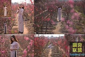 8张越南美女桃花林摄影写真RAW原片 摄影修图练习