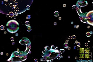 PS动物泡泡合成溶图JPG素材