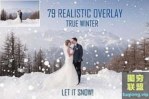 79张高清冬季雪景雪花乱舞暴风雪叠加合成素材Winter Snow Bokeh