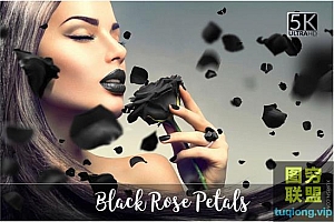 20张5K黑玫瑰花瓣PNG透明图片叠加合成素材