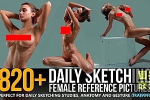 820+高分辨率日常素描女性多种坐姿艺术参考图片