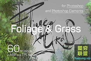 60款高清逼真树叶小草PS画笔及工具预设集Foliage & Grass brushes