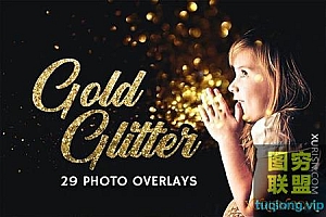 29张高清金色闪光闪粉照片叠加素材Gold Glitter Photo Overlays
