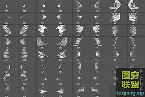 62个光影分形翅膀photoshop笔刷素材