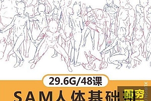 SAM人体基础网络班人体结构教程SAI游戏动漫人物基础绘制29.6G