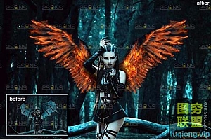 9款高清火焰翅膀透明PNG图片合成素材