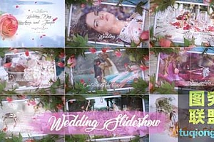 浪漫玫瑰花瓣照片相册视频婚礼包装片头 Wedding Slideshow